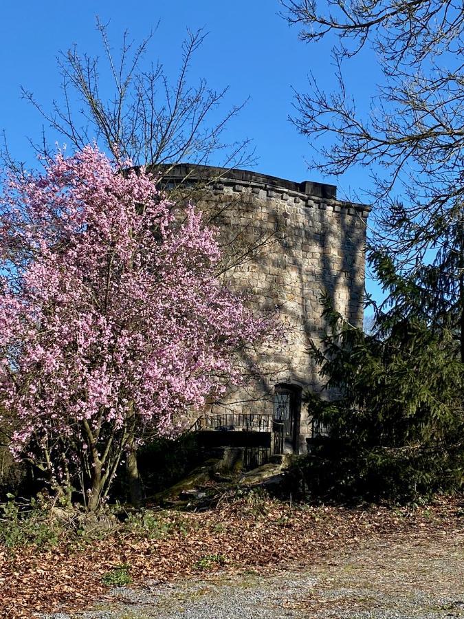 Châtelet De Barbençon Apartamento
